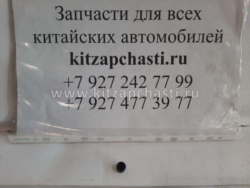 ЗАГЛУШКА ПОРОГА Chery Kimo S11-5110031